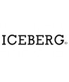 ICEBERG